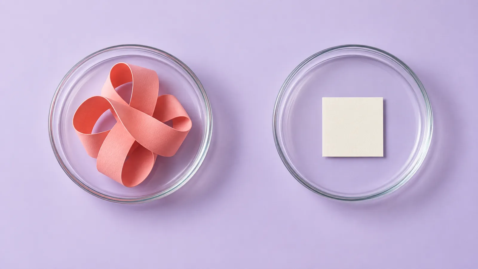 Symbolic glass dishes holding a folded ribbon and blank card, illustrating different research materials