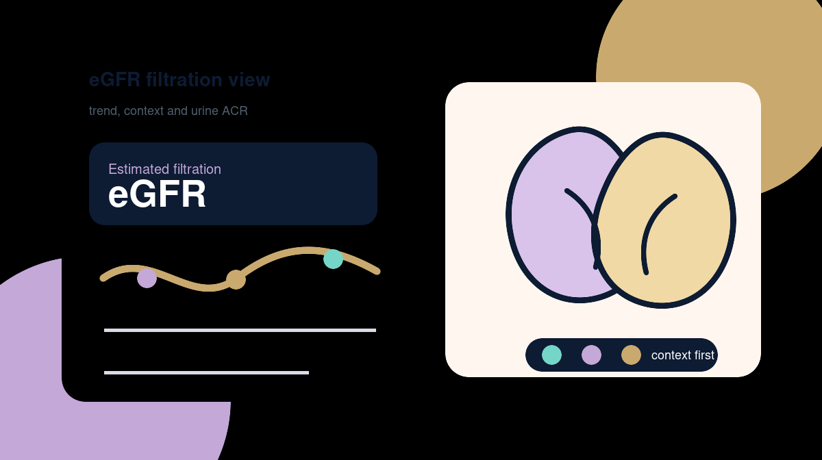 eGFR Explained for UK Patients: What Your Kidney Filtration Number Means