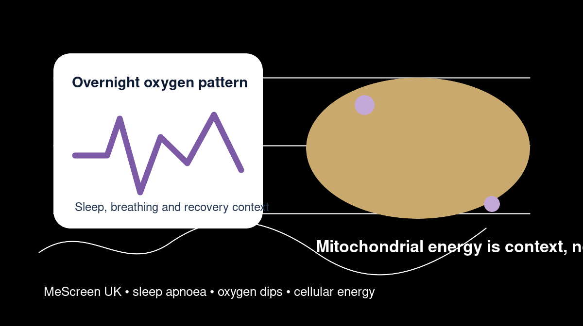 Sleep Apnoea and Mitochondrial Energy: A UK Guide