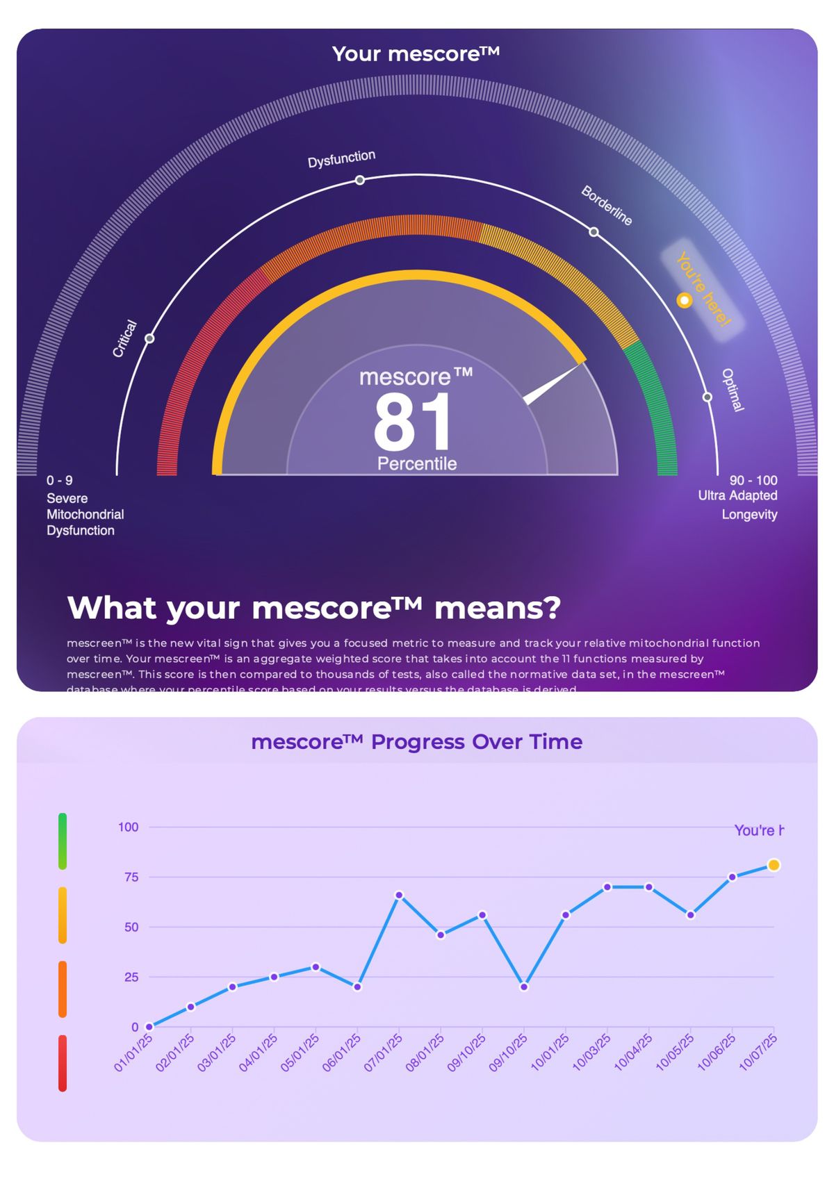 MeScreen report detailed biomarker breakdown