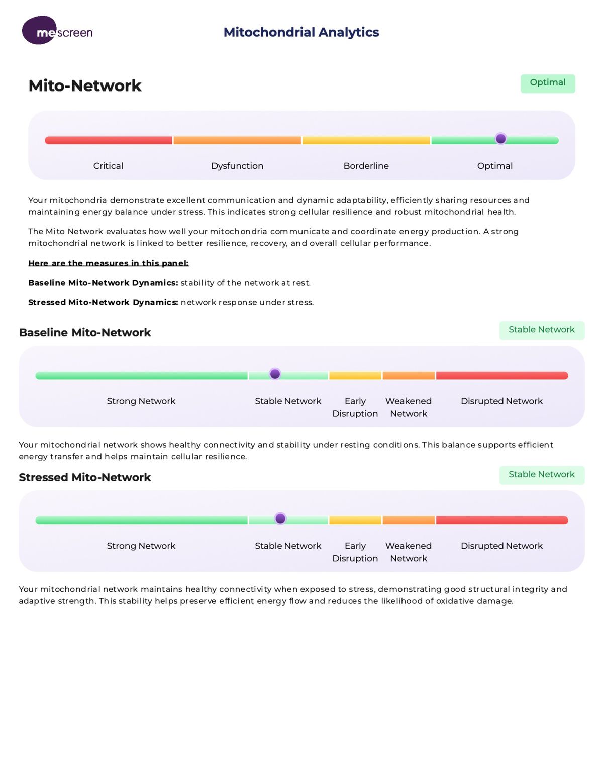 MeScreen final report summary with next steps and recommendations