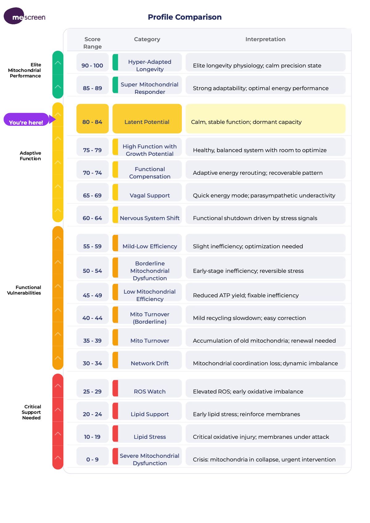 MeScreen report executive summary page