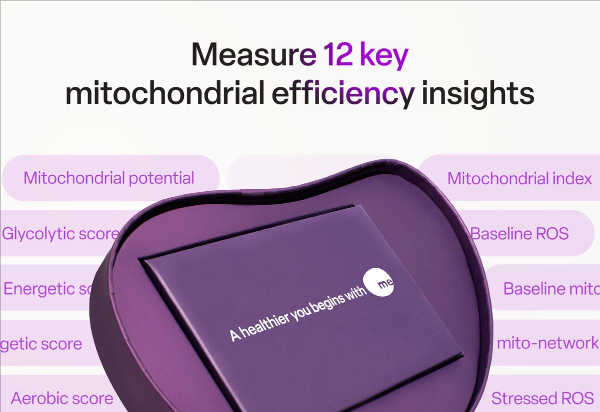 MeScreen digital report and key insights preview